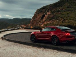 2020 mustang shelby gt500: одна гладкая змея Pagina de pornire