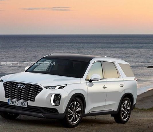 Новый большой внедорожник hyundai palisade: фото Pagina de pornire