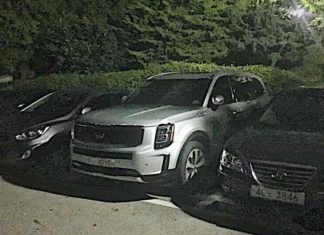 Kia Telluride появилась на дорогах города: реальное фото