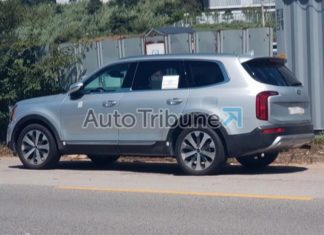Foto di Kia Telluride: nuda realtà
