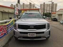 Kia telluride, шпионящий в дикой природе Startpagina