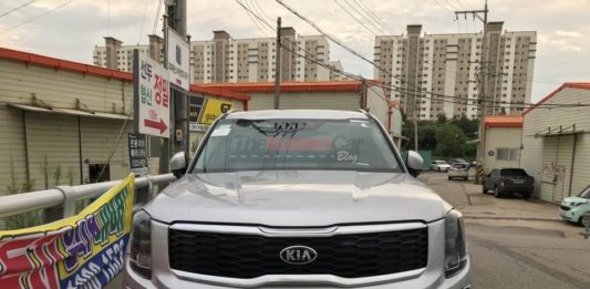 Kia telluride szpieguje w dziczy Strona główna
