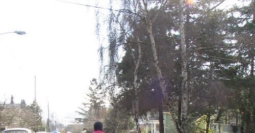 Doğaçlama malzemelerden bisiklet için tekne römorku nasıl yapılır (fotoğraf) Ana Sayfa